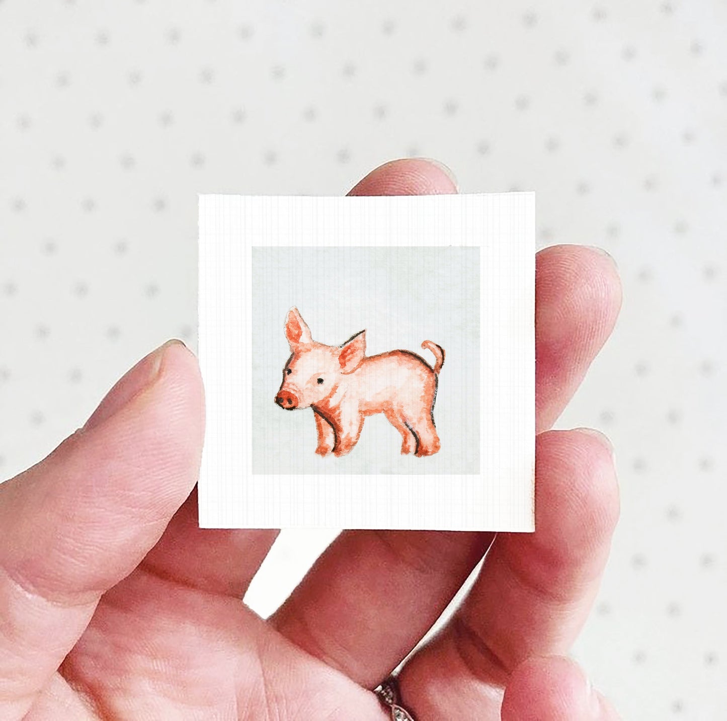 A hand holding a small square picture of a pig against a white background.