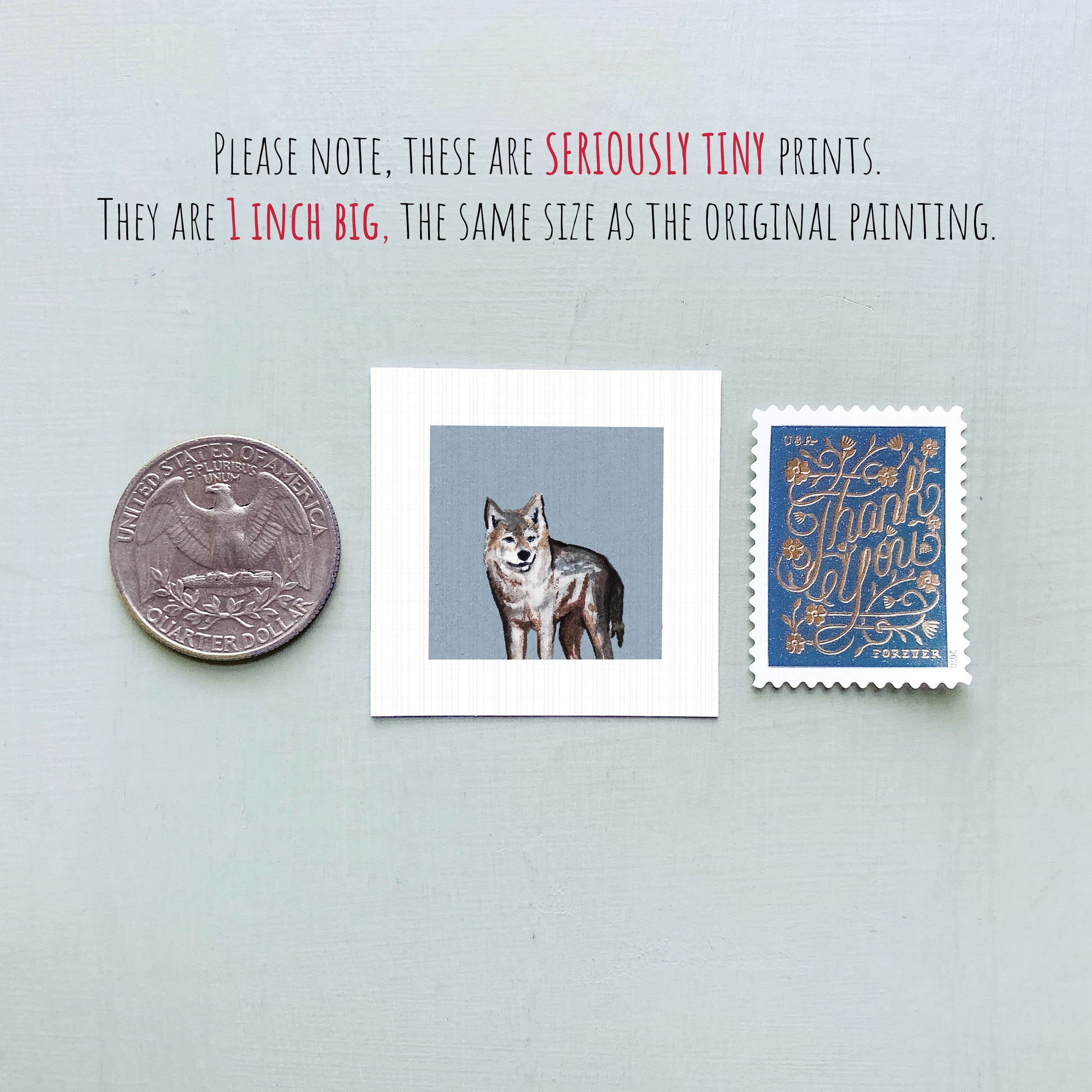 a collection of three small items: a quarter, a framed print of a wolf, and a postage stamp.