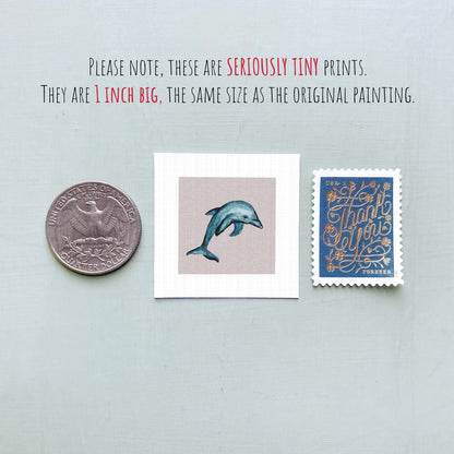 three small prints: a quarter, a dolphin print, and a postage stamp.