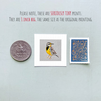 a collection of three small items: a quarter, a postage stamp, and a painting of a bird.