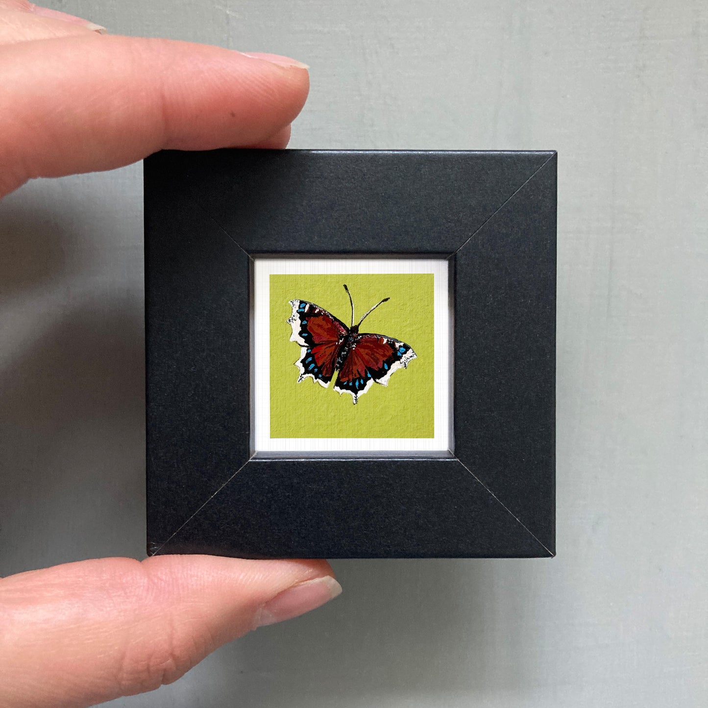 A person's hand is holding a small black frame containing a framed image of a butterfly.