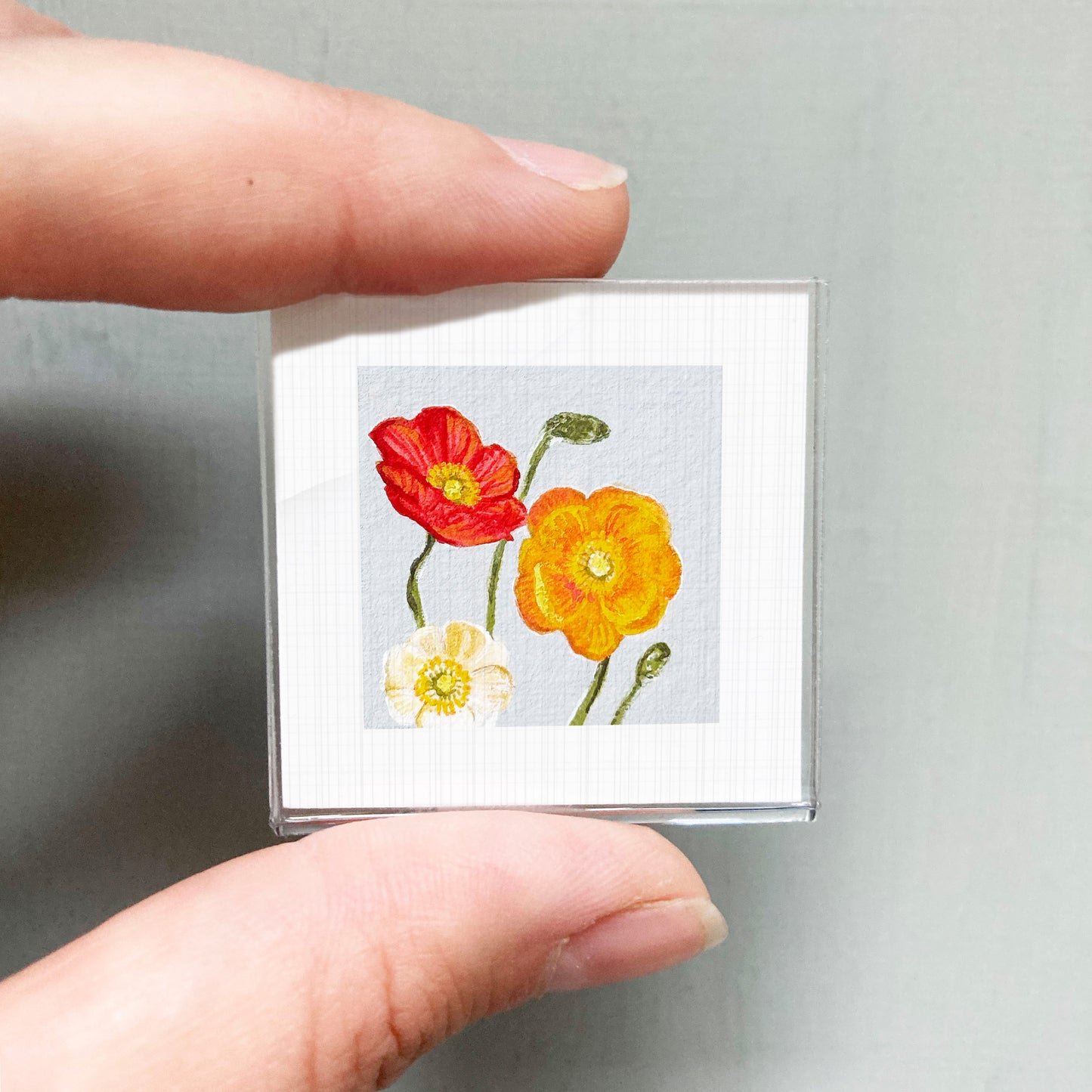 A person's hand holding a small square picture of three colorful flowers, including red, yellow, and white flowers.