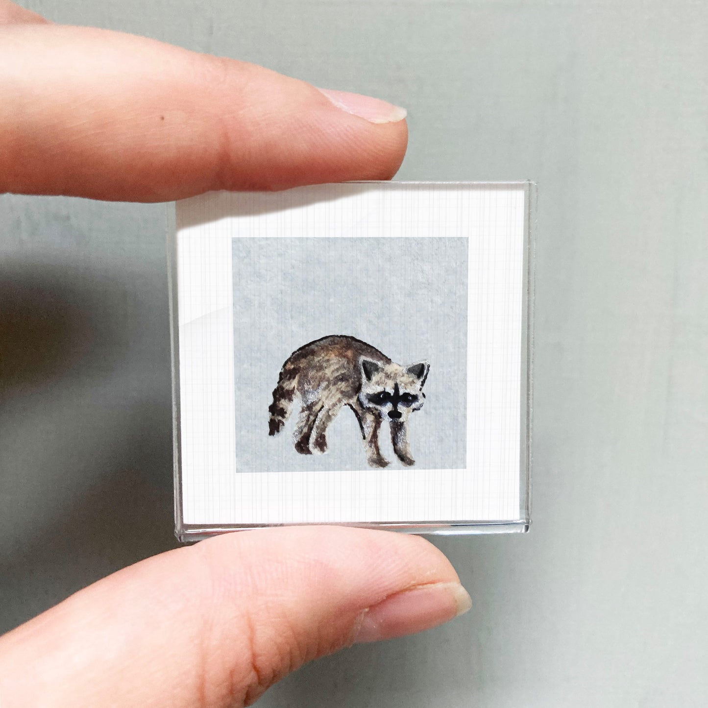 A person's hand is holding a small square picture of a raccoon.