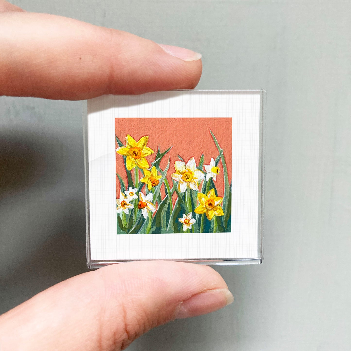 A person's hand is holding a small square picture of yellow and white daffodils against a red background.