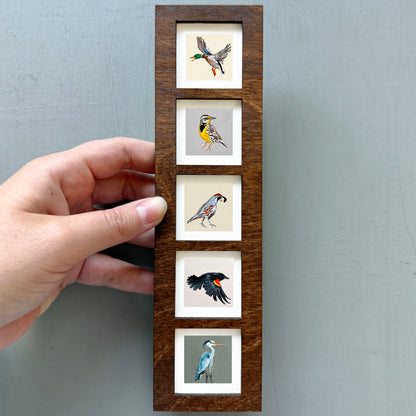 Birds 5-Panel Frame