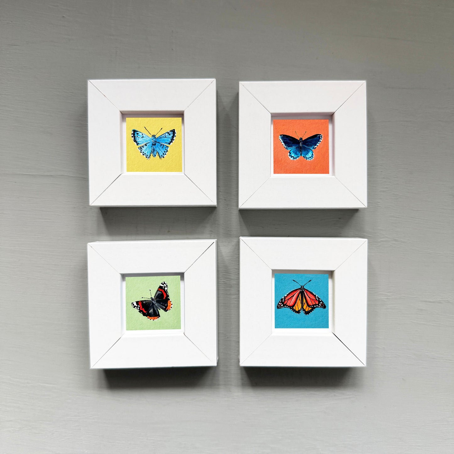 Set of 4 Tiny Butterfly Prints