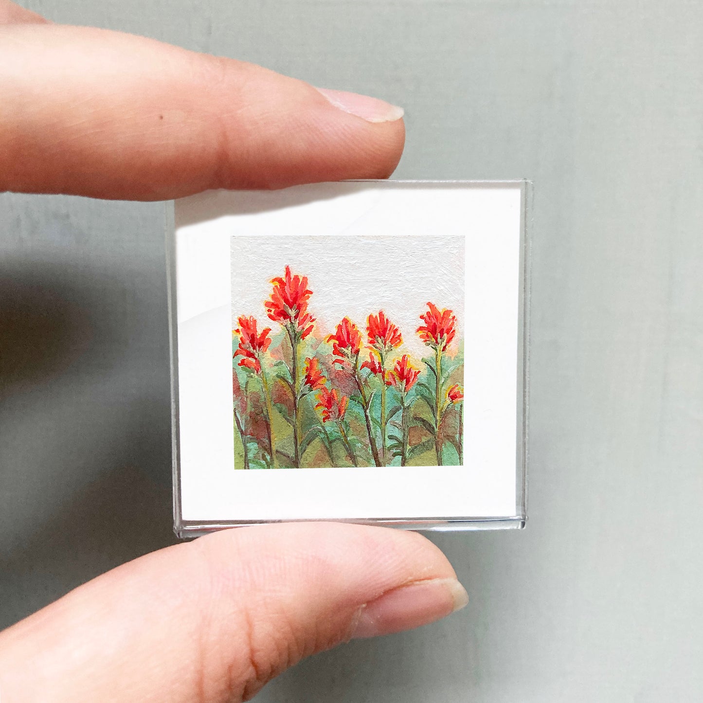 Mini 1" Indian Paintbrush Flower Gouache Print
