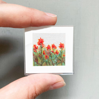 Mini 1" Indian Paintbrush Flower Gouache Print