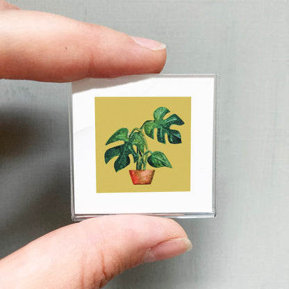 Mini 1" Monstera Houseplant, Swiss Cheese Plant Watercolor Print