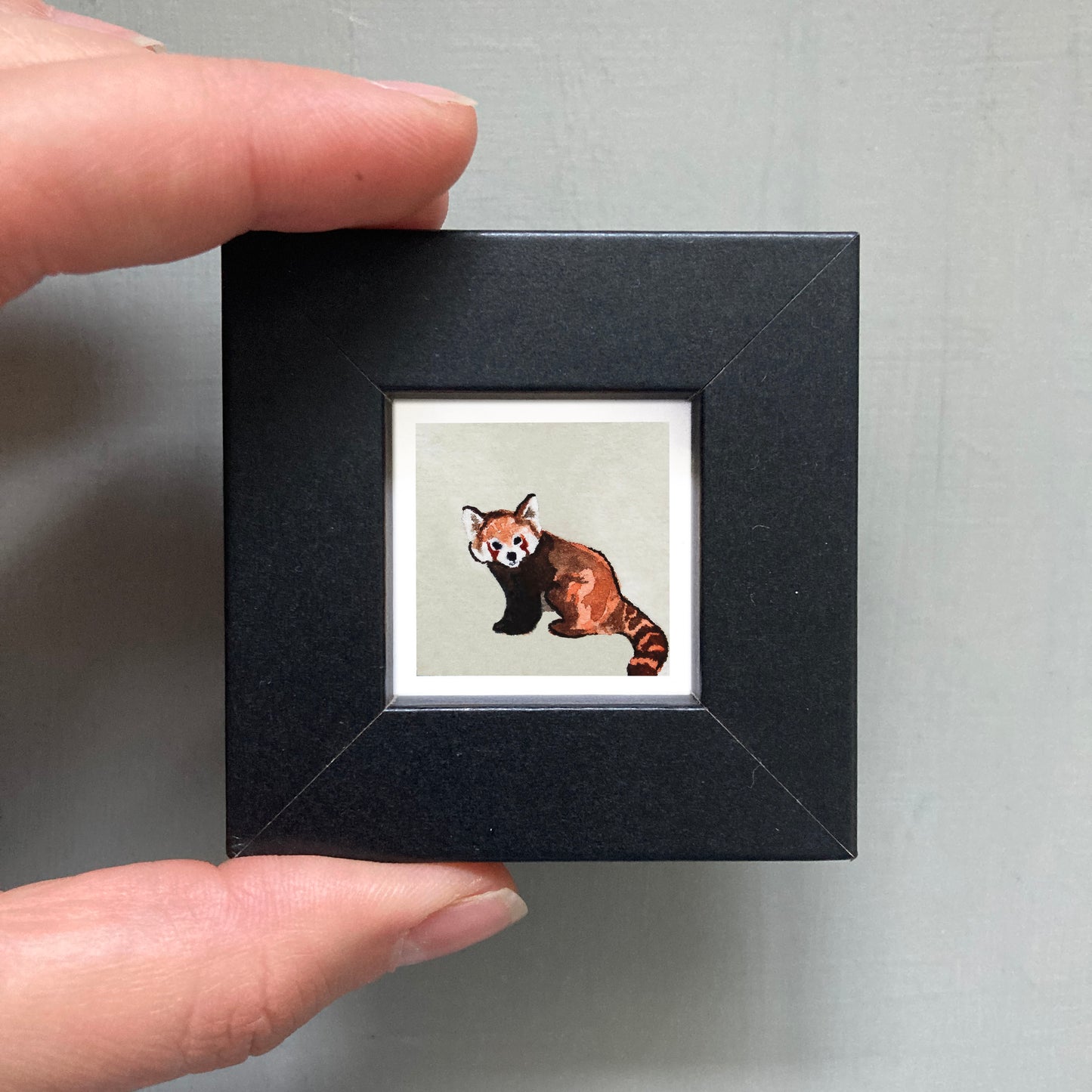 Mini 1" Red Panda Watercolor Print
