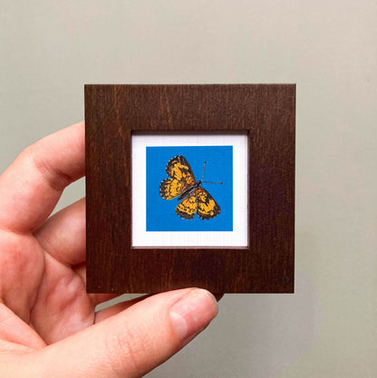 A hand is holding a small wooden frame containing a framed image of a butterfly against a blue background.