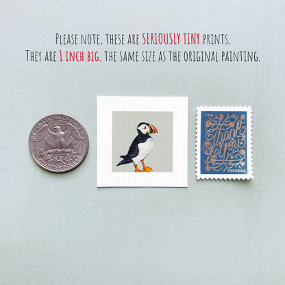 a collection of three small items: a quarter, a postage stamp, and a painting of a bird.