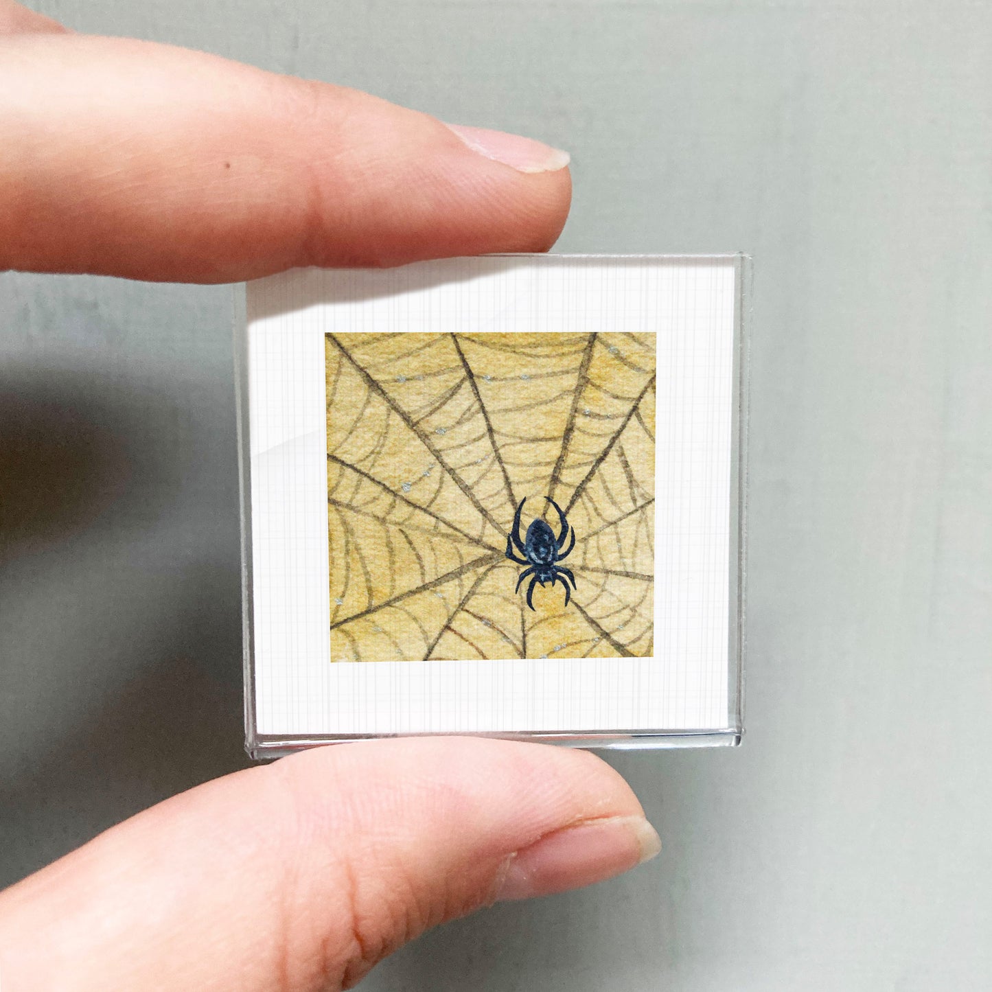 A person's hand is holding a small square picture frame containing a detailed illustration of a spider on a web.