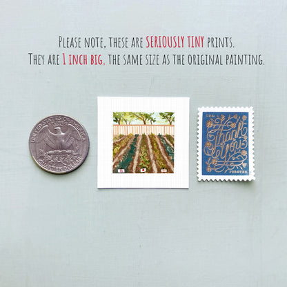 three small prints: a United States quarter, a square print of a garden scene, and a blue postage stamp with gold lettering.