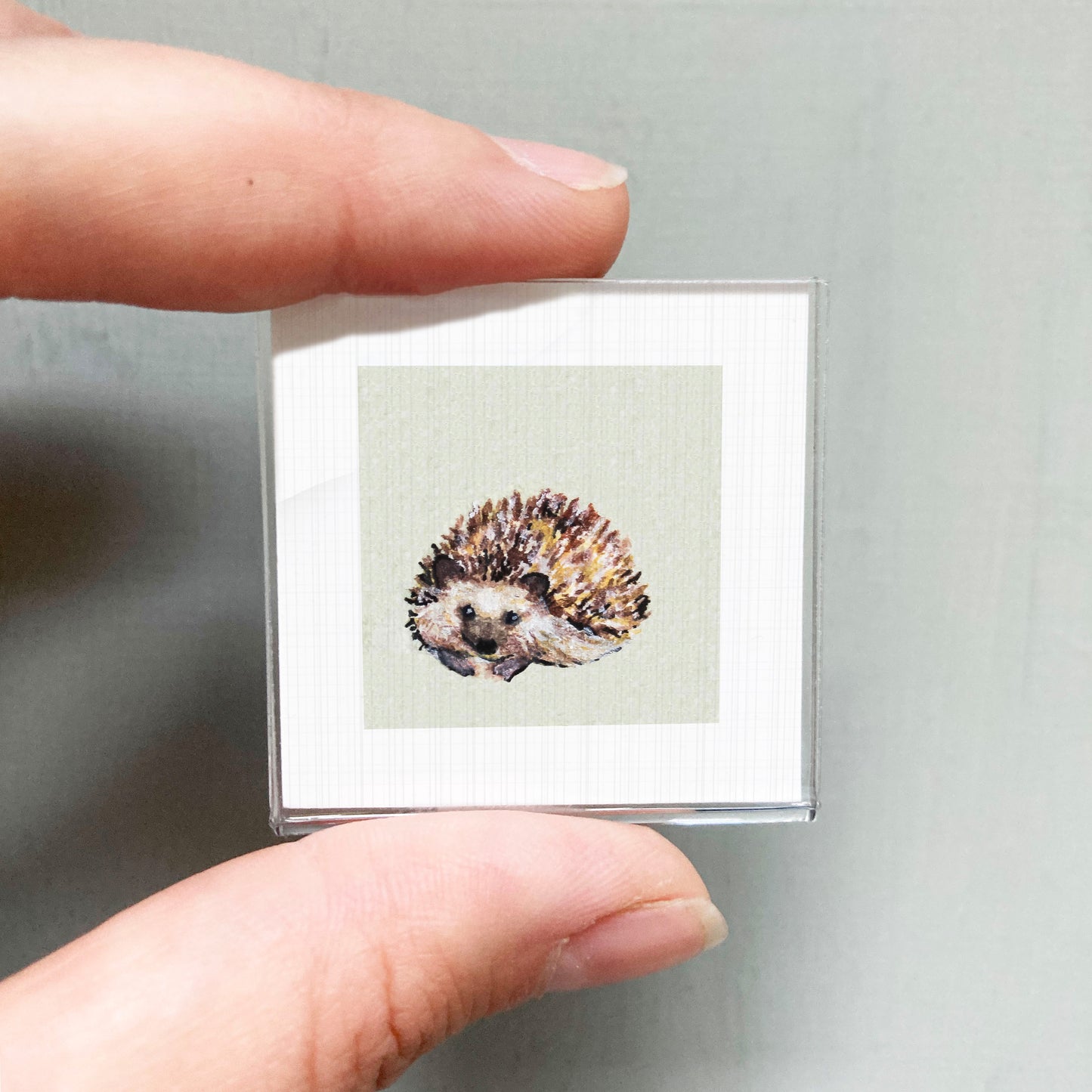 A person's hand holding a small square picture of a hedgehog.