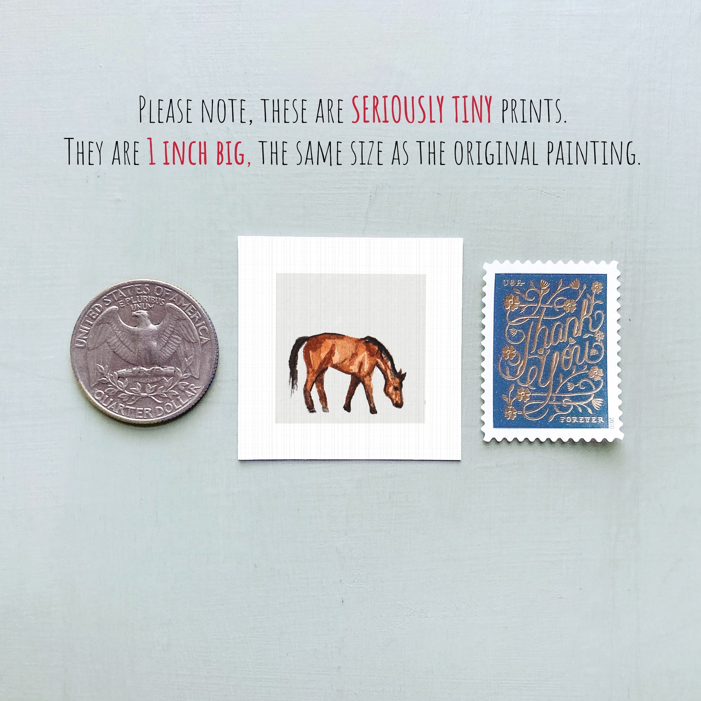 a collection of three small items: a quarter, a square print of a horse, and a postage stamp.