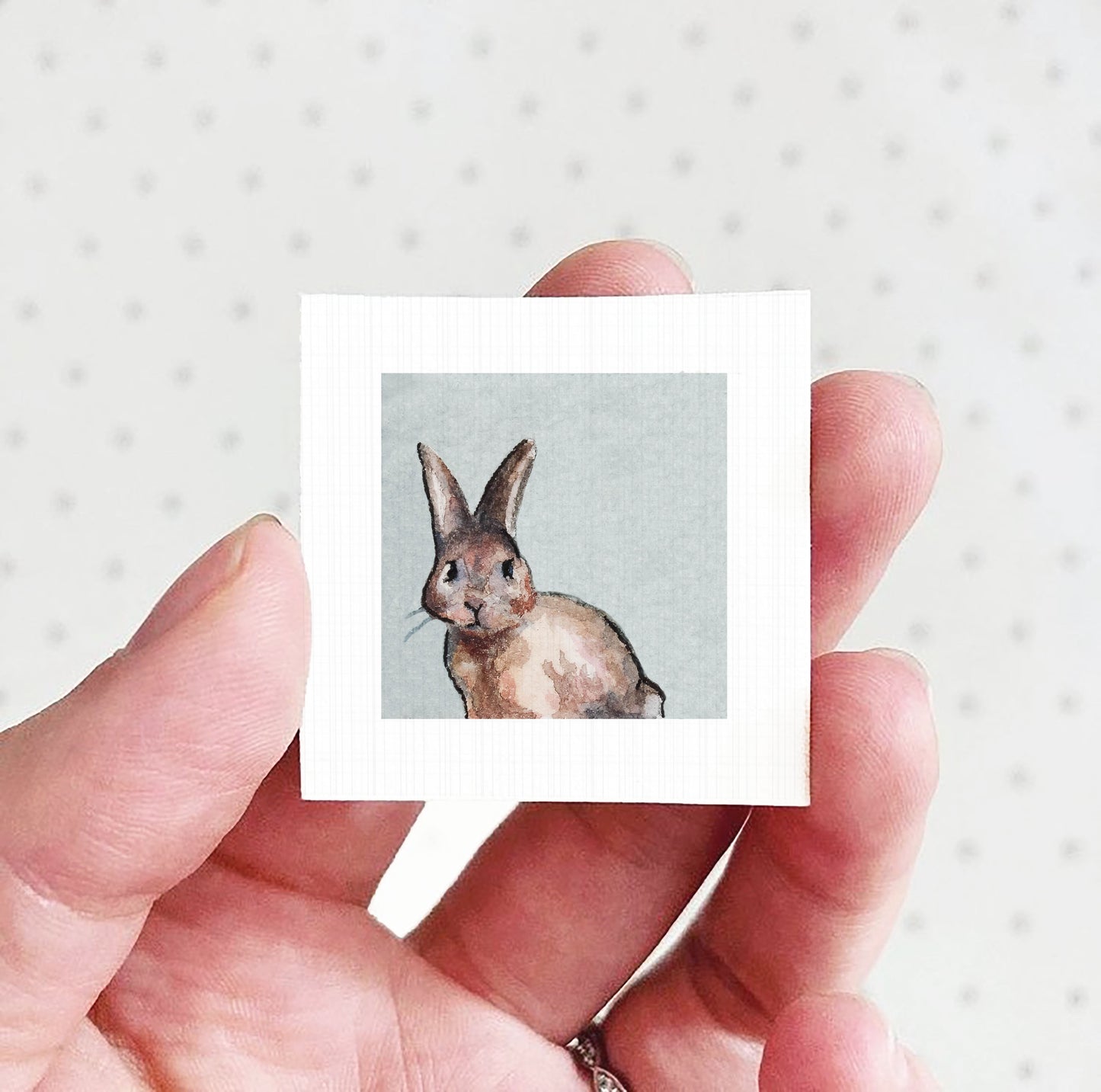 A person's hand holding a small square picture of a rabbit.