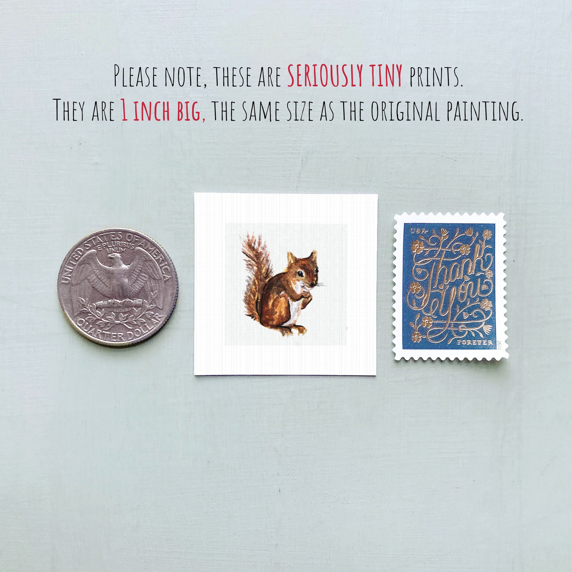 a small squirrel illustration, a United States quarter, and a blue postage stamp.