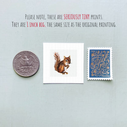 a small squirrel illustration, a United States quarter, and a blue postage stamp.