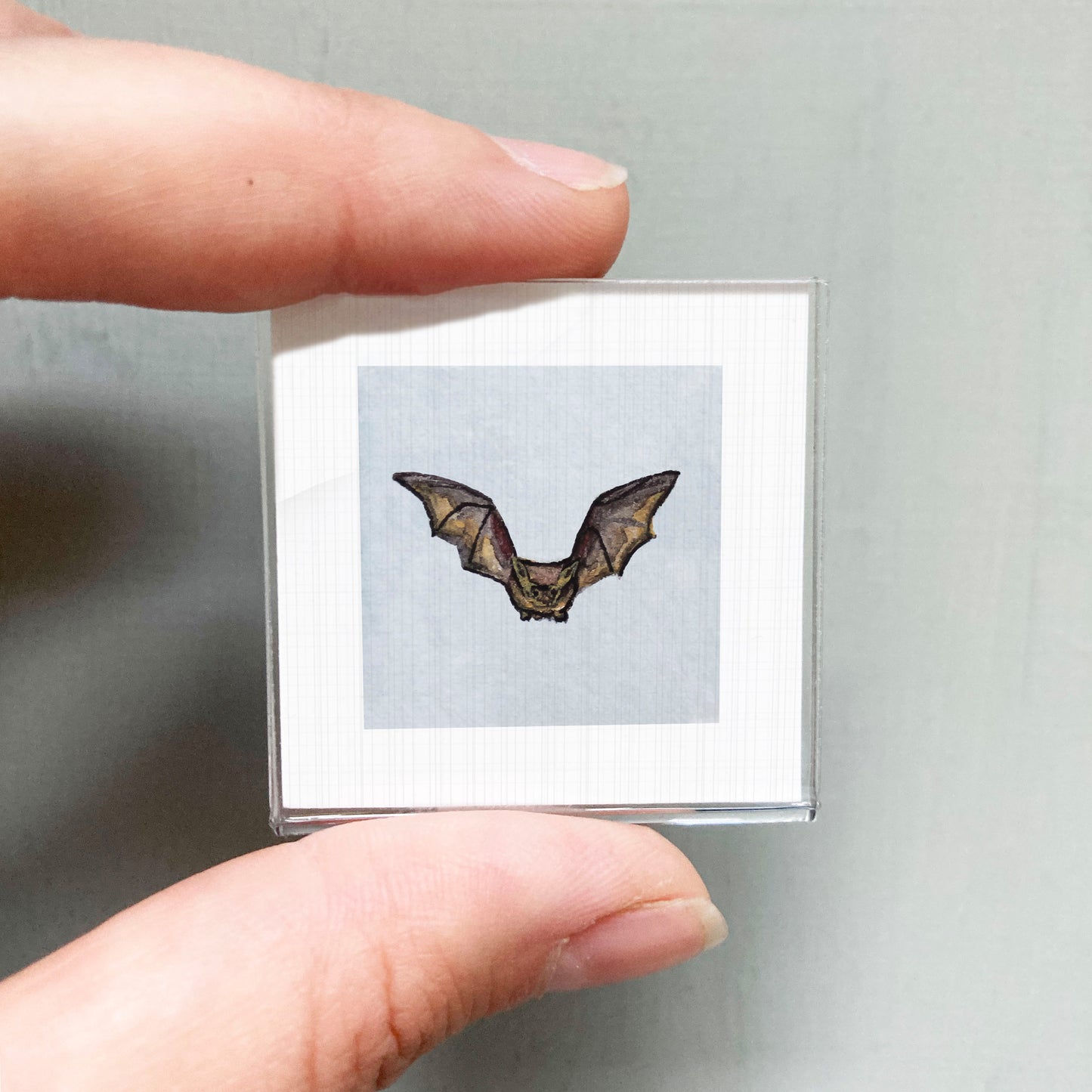 A person's hand is holding a small square picture of a bat.