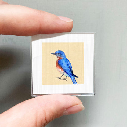 A hand is holding a small square picture of a blue bird.