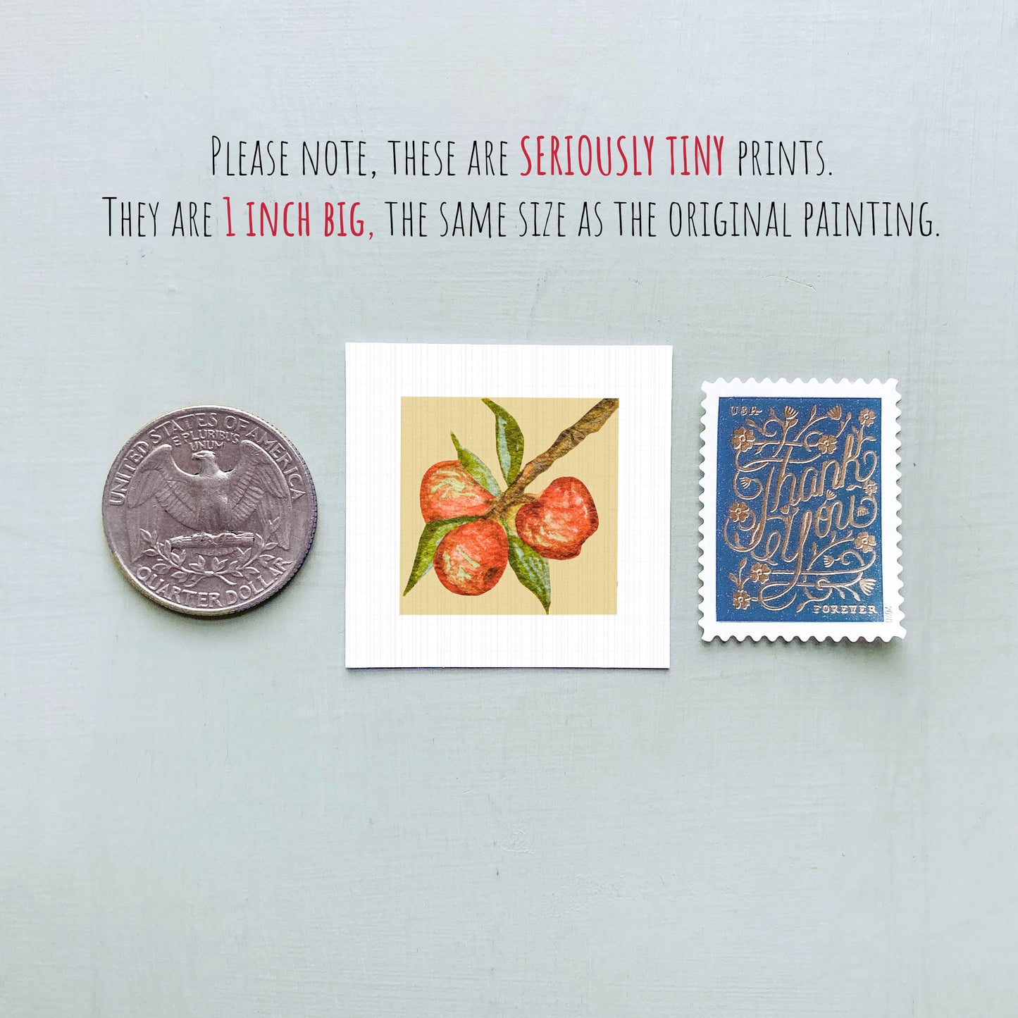 three small prints: a United States quarter, a square print of a peach on a branch, and a blue postage stamp with gold lettering.