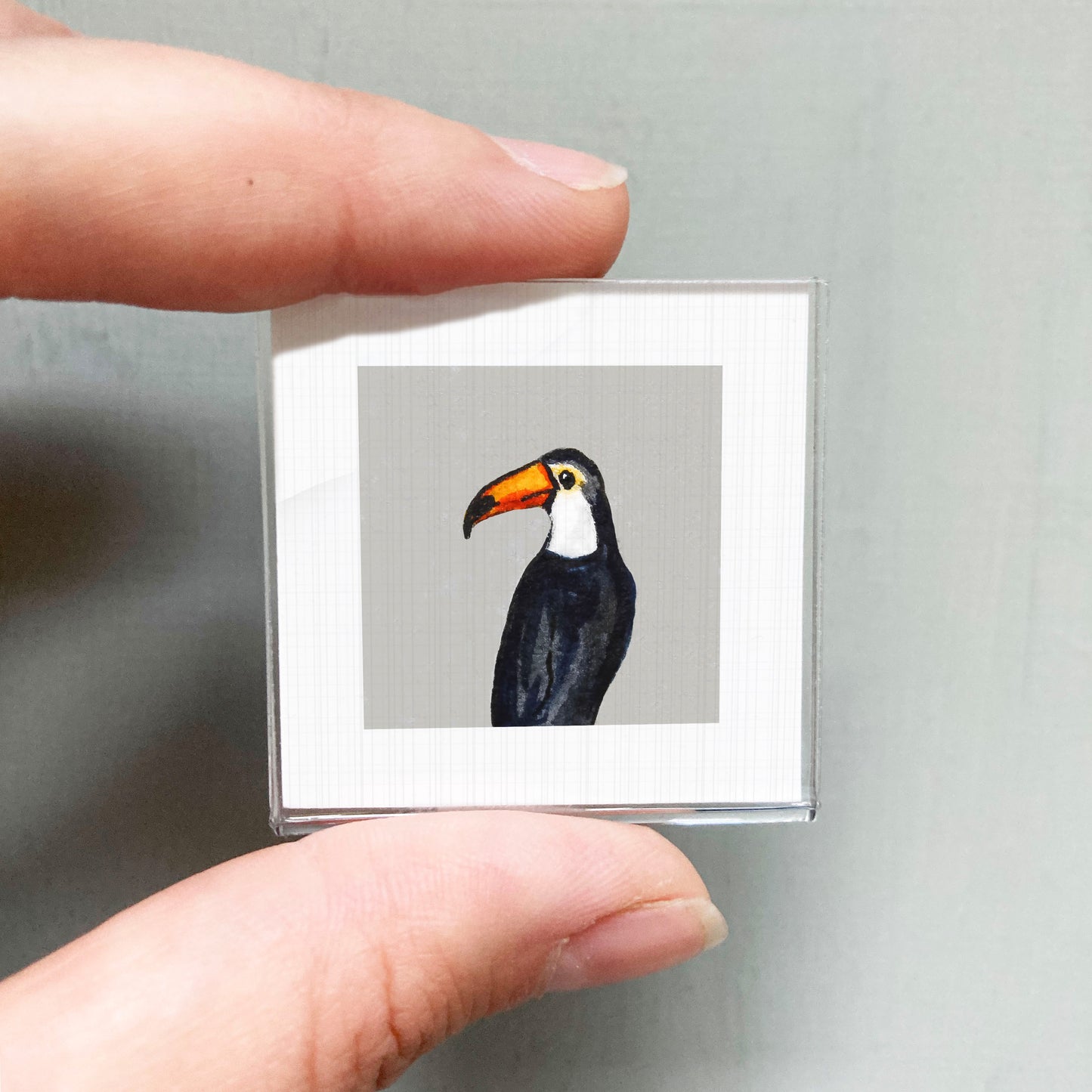 A person's hand is holding a small square picture of a toucan, which is a large bird with a distinctive orange beak.