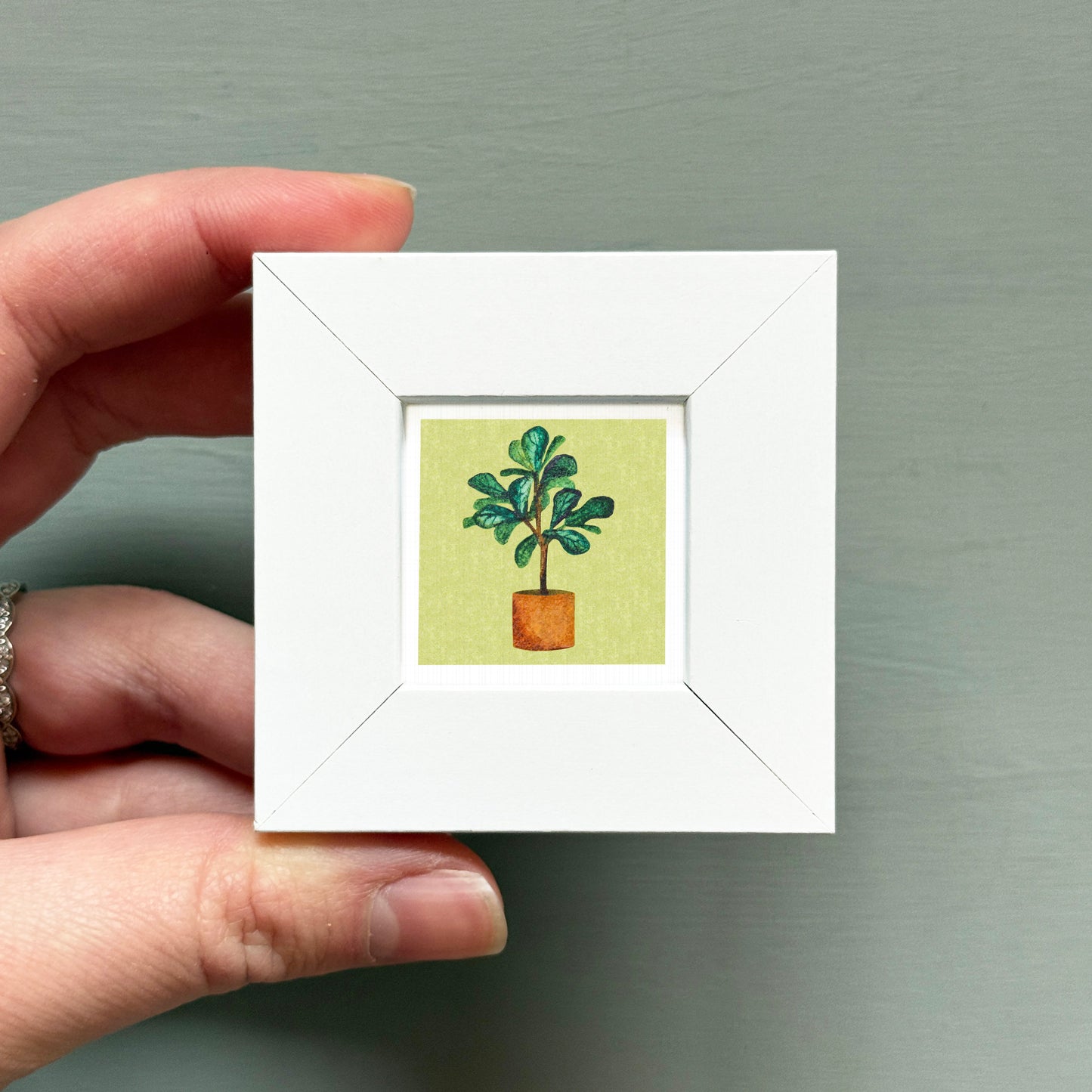 A hand is holding a small white square frame containing a framed illustration of a potted plant.