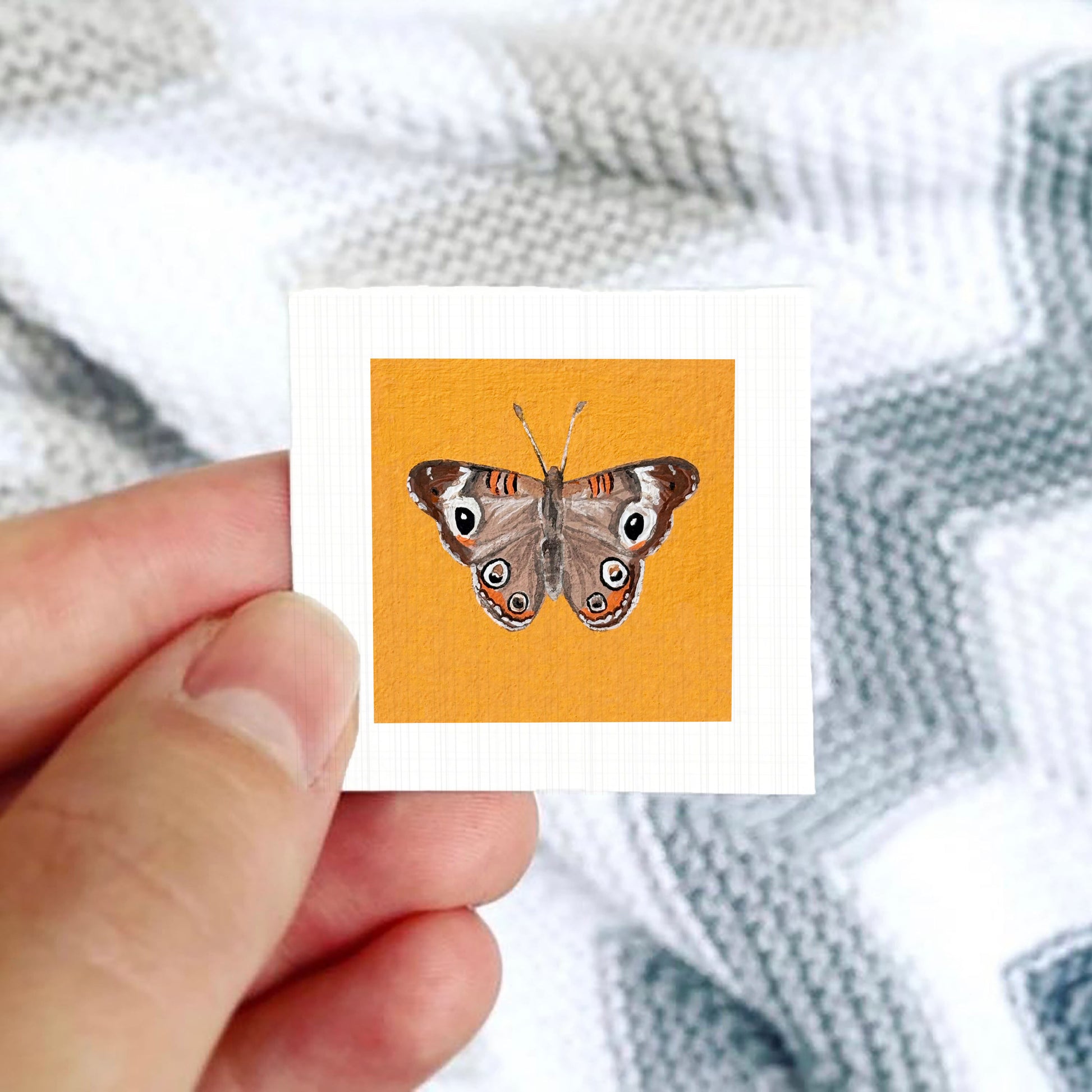 A hand is holding a small square card with a picture of a butterfly on it.