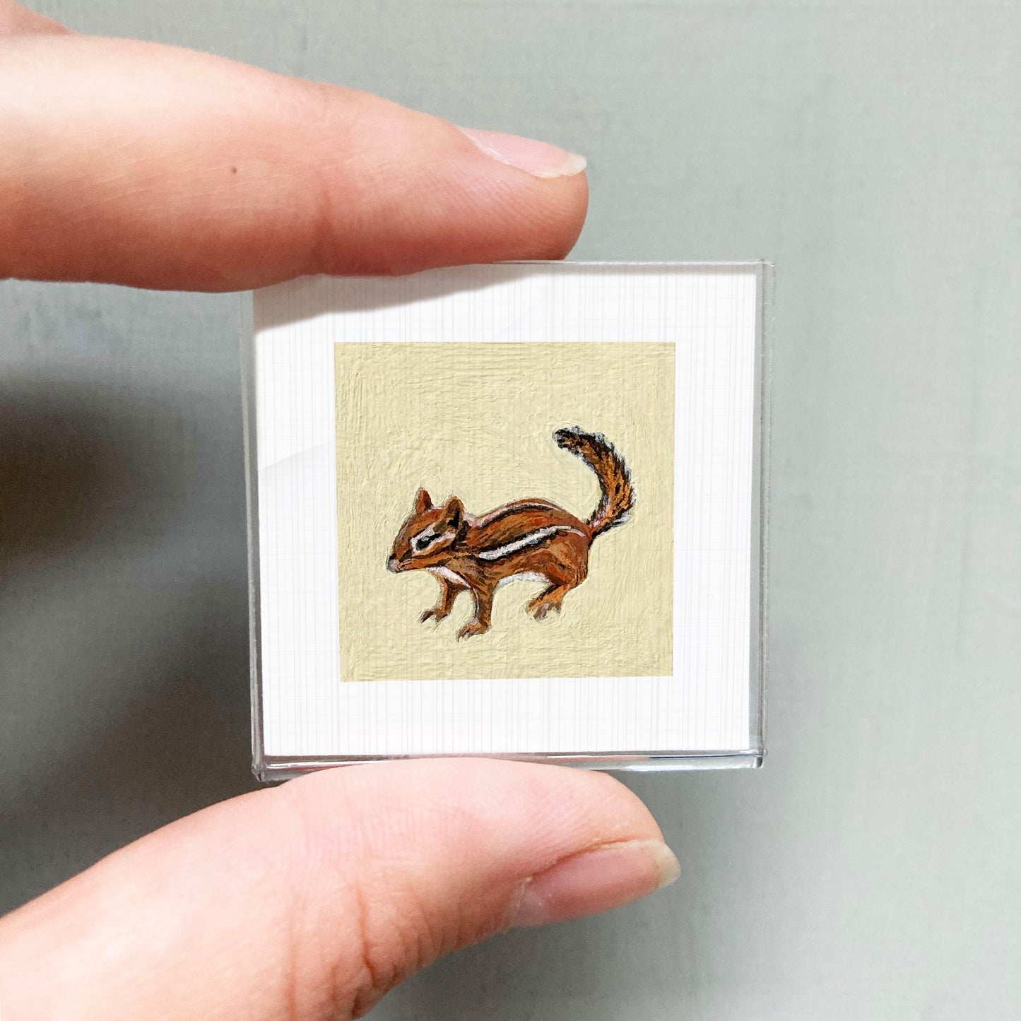 A person's hand is holding a small square picture of a chipmunk.
