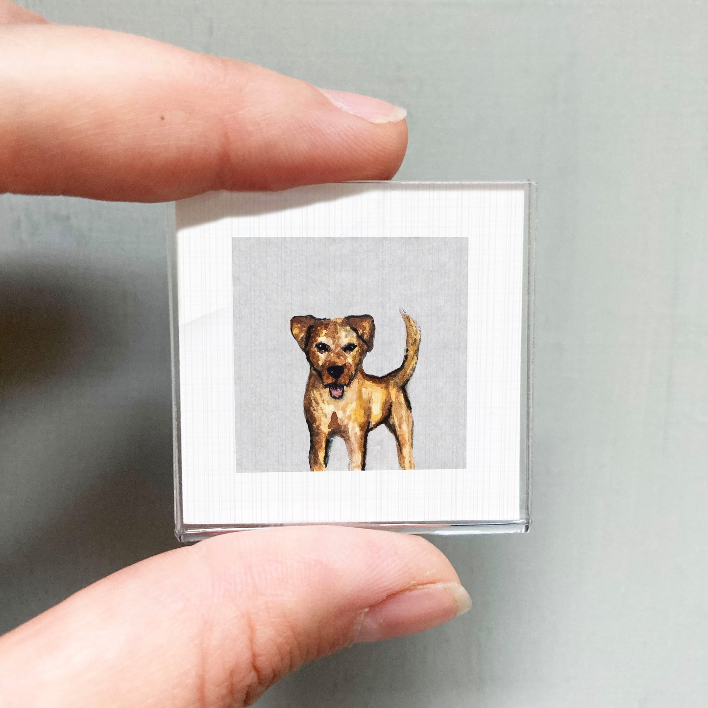 A person's hand holding a small square picture of a dog.