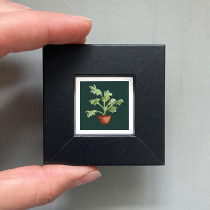 A person's hand holding a small black frame containing a framed painting of a plant with green leaves.