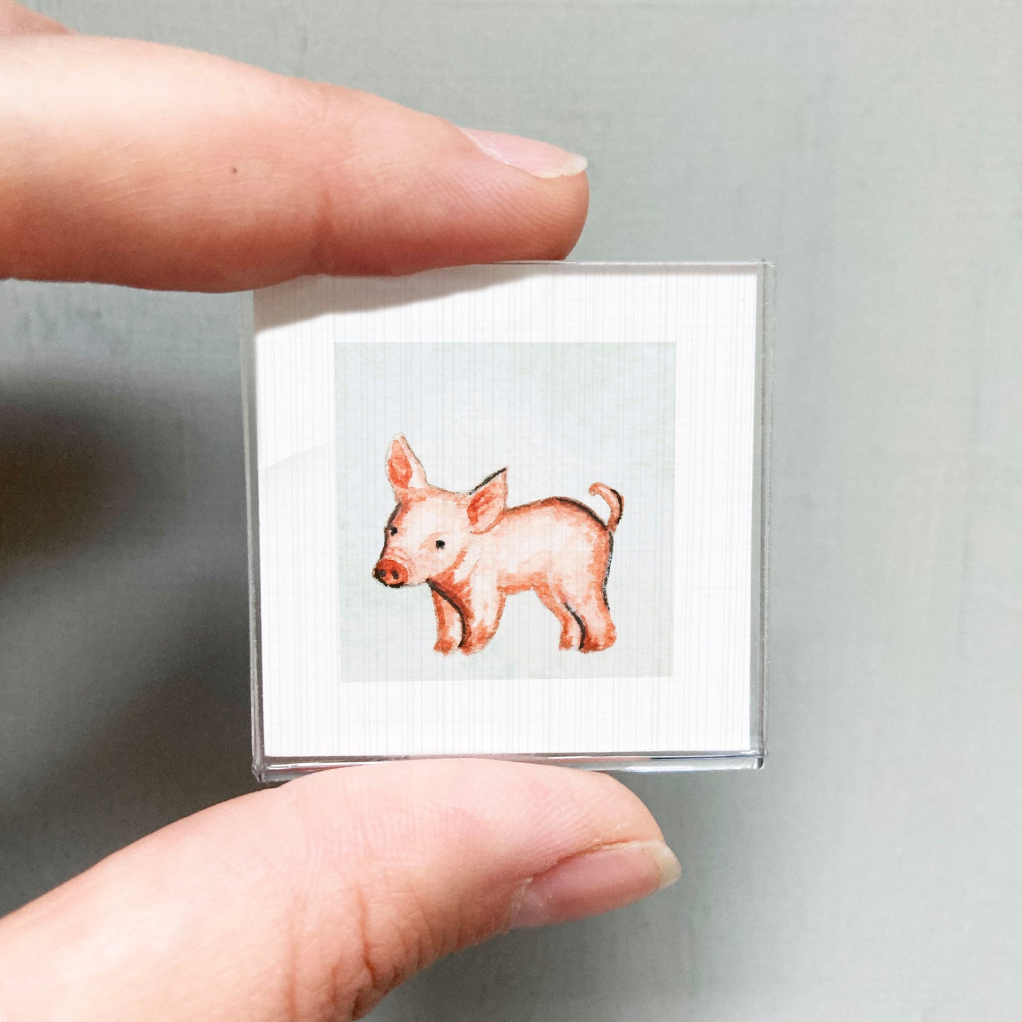A hand is holding a small square picture of a pig against a light blue background.
