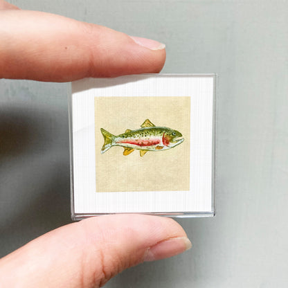 A person's hand is holding a small square picture of a fish.