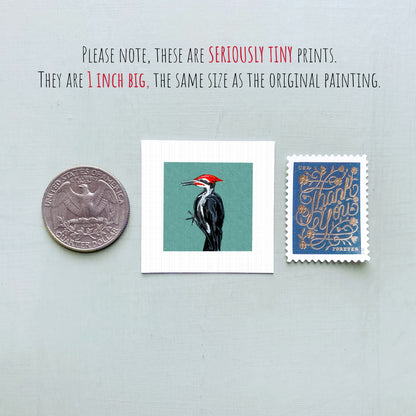 a collection of three small items: a quarter, a postage stamp, and a painting of a bird.