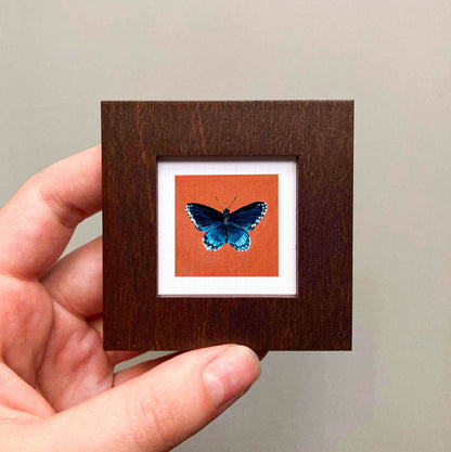 A hand is holding a small wooden frame containing a framed image of a blue butterfly.