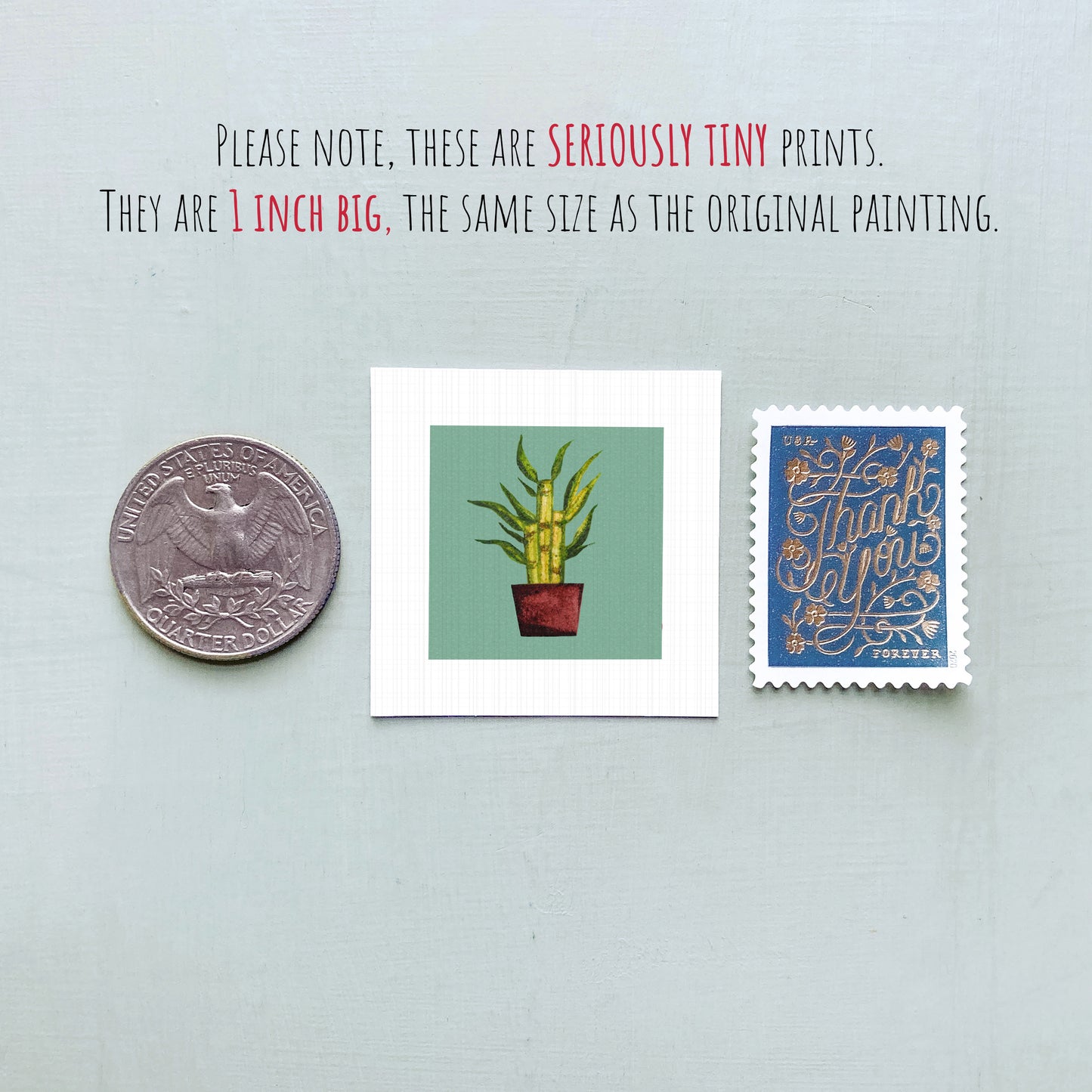 three small items: a quarter, a square print of a plant, and a postage stamp.