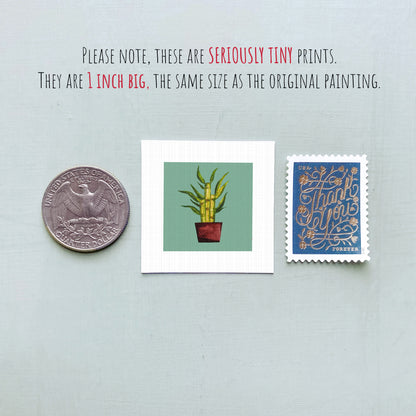 three small items: a quarter, a square print of a plant, and a postage stamp.