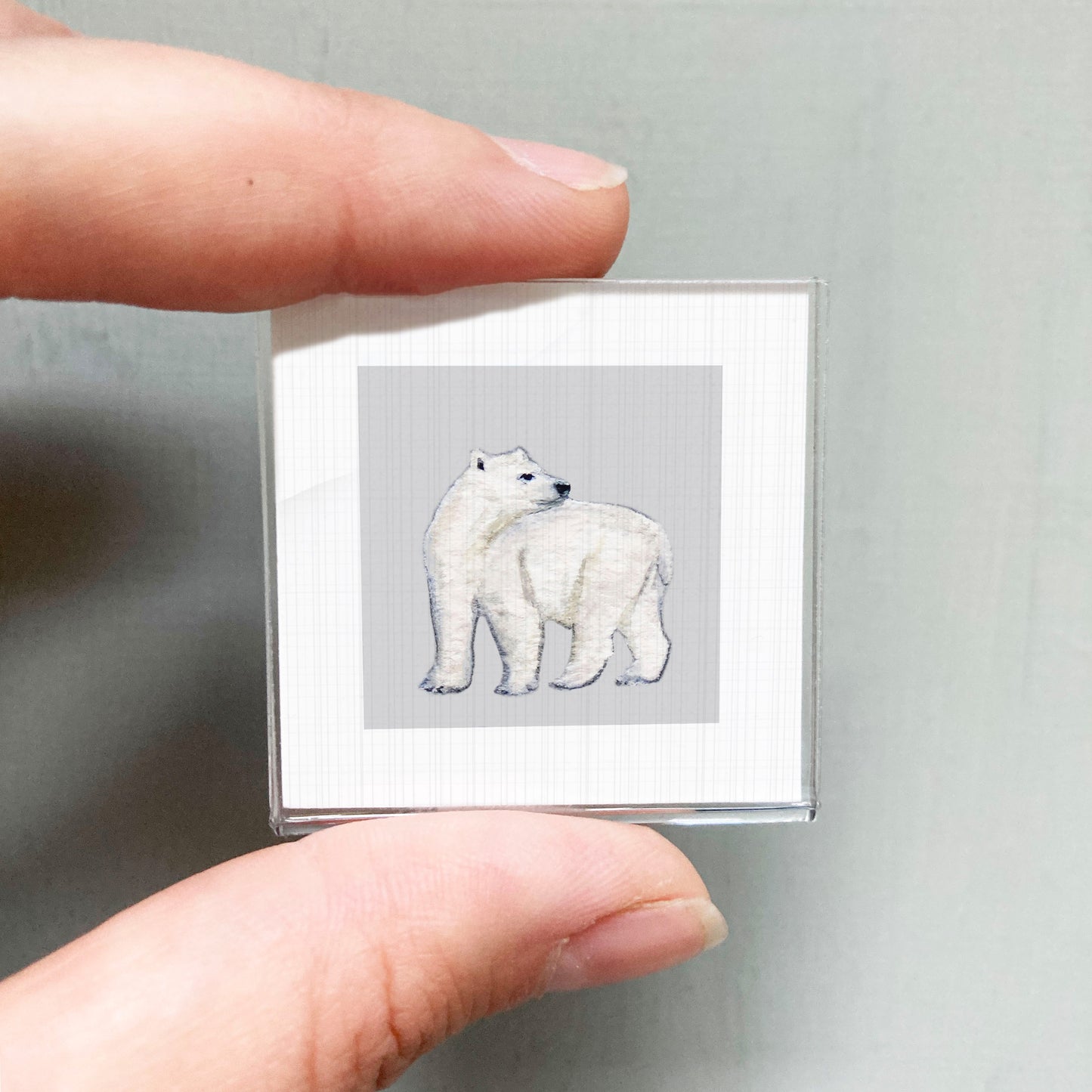 A person's hand is holding a small square picture of a polar bear.
