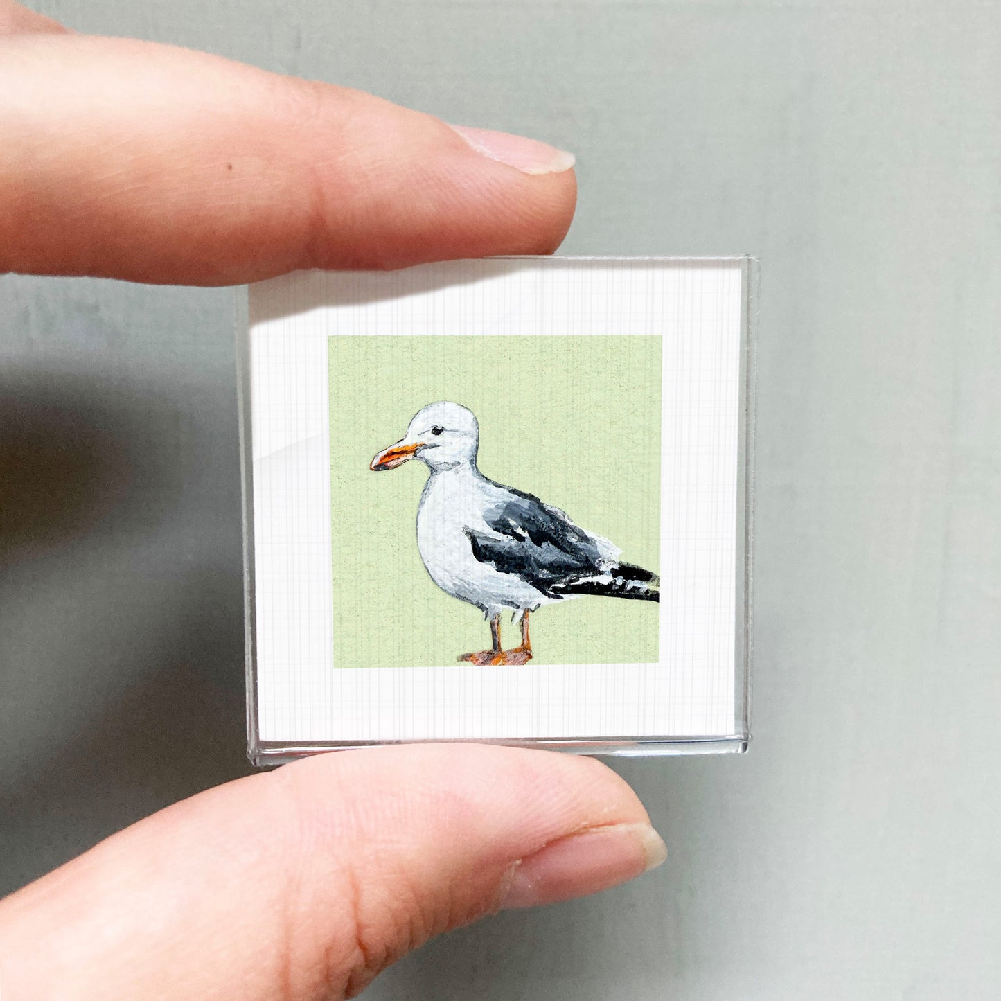 A person's hand is holding a small square picture of a seagull against a green background.