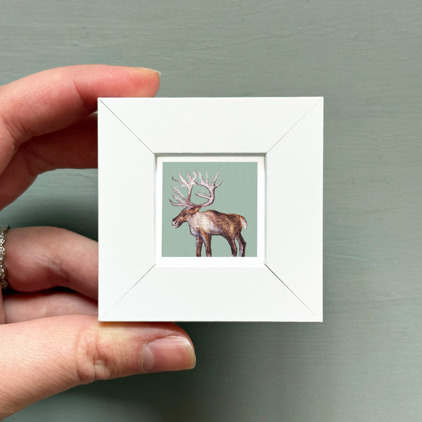 A hand is holding a small white square frame containing a painting of a deer with large antlers.