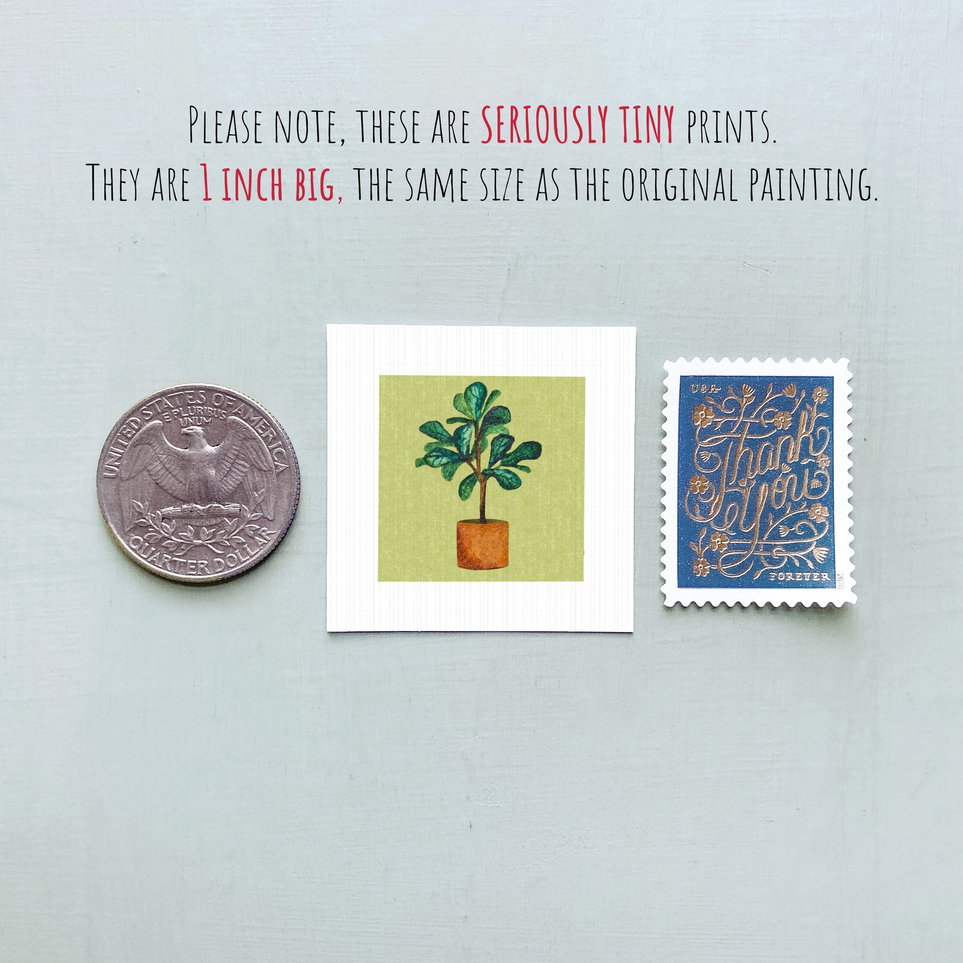three small items: a quarter, a square print of a plant, and a postage stamp.