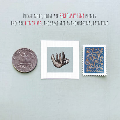 three small items: a quarter, a postage stamp, and a painting of a sloth.