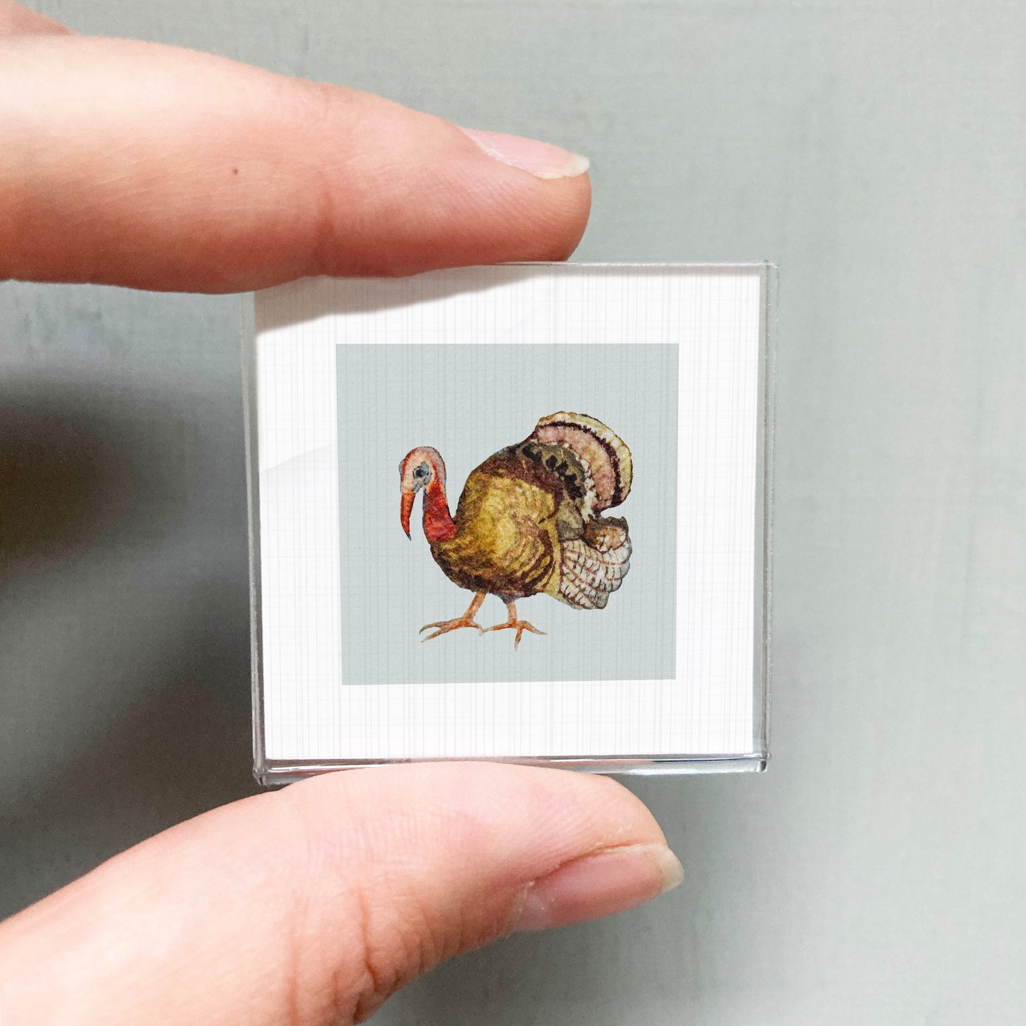A person's hand holding a small square picture of a turkey.
