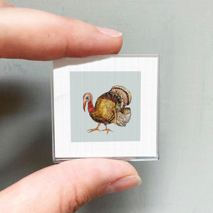 A person's hand holding a small square picture of a turkey.