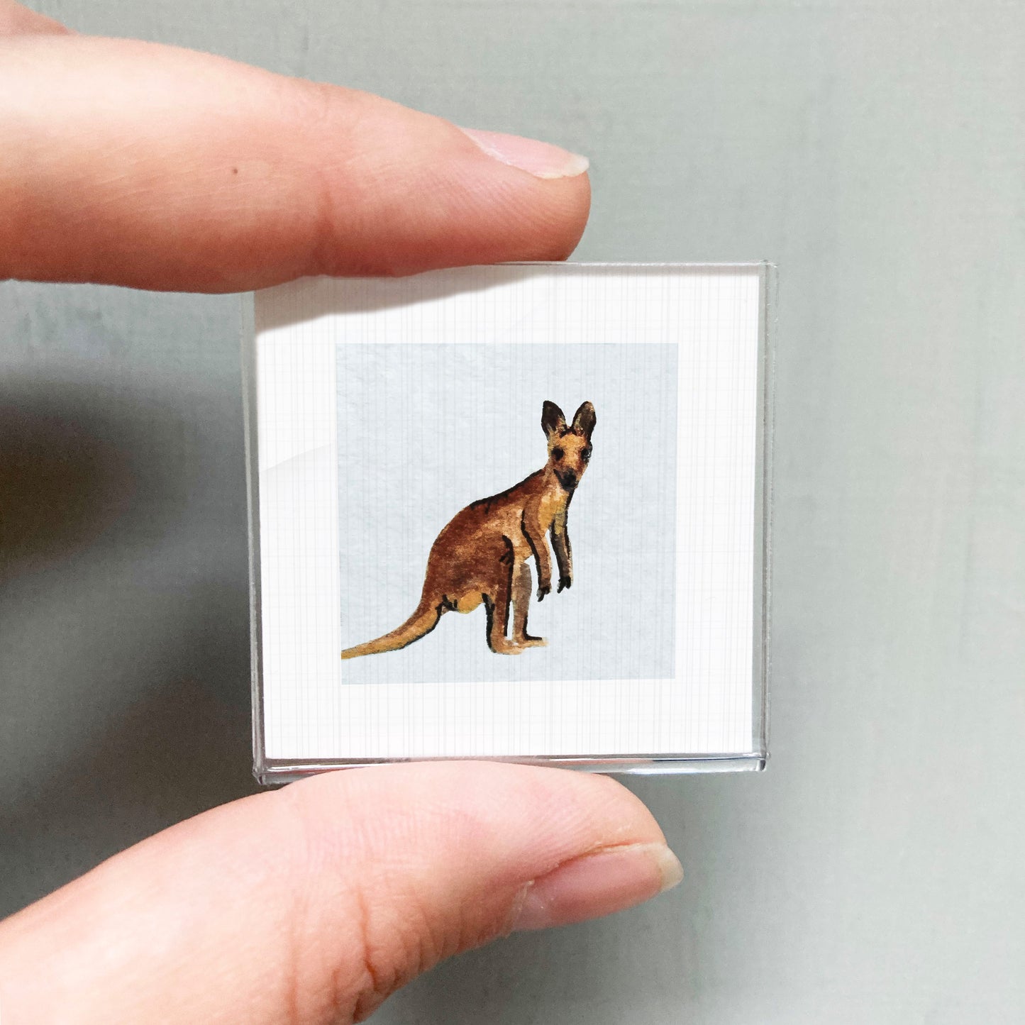 A person's hand holding a small square picture of a kangaroo.