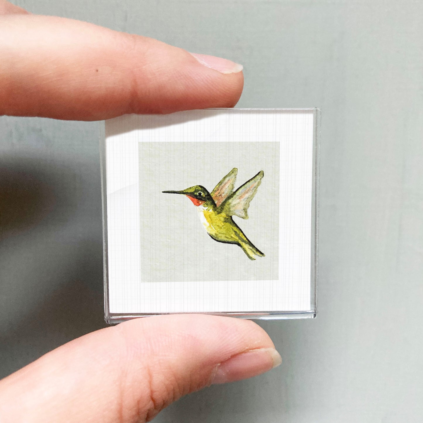 A person's hand is holding a small square picture of a hummingbird.