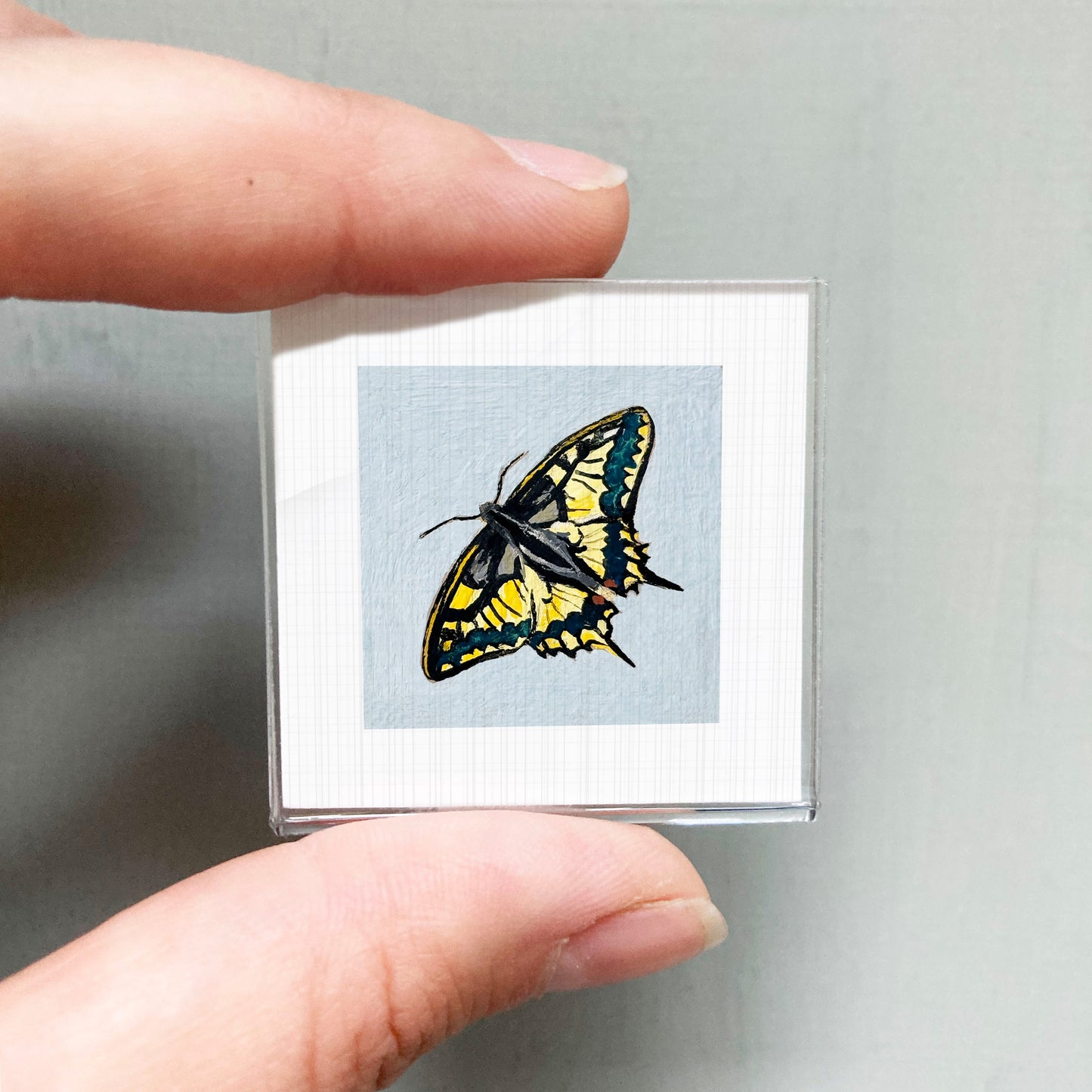A hand is holding a small square picture of a colorful butterfly.