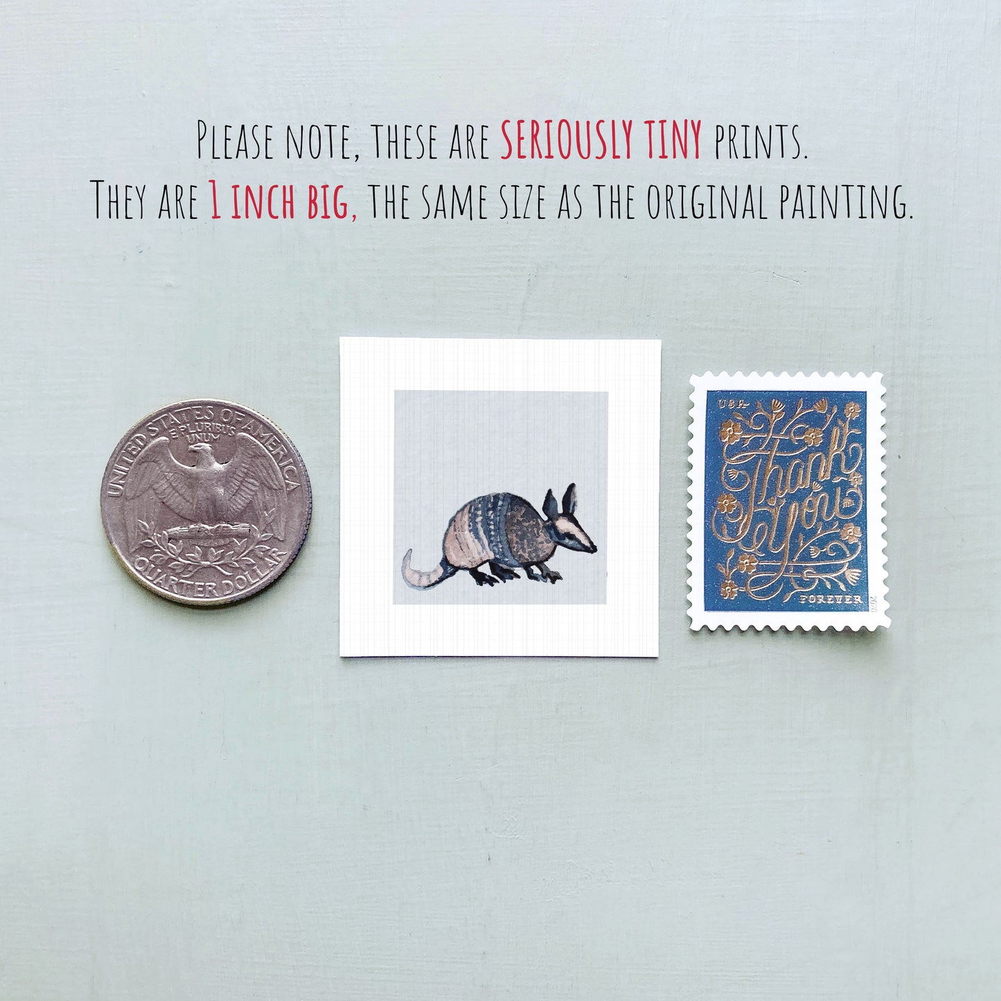 three small items: a quarter, a postage stamp, and a painting of an armadillo.