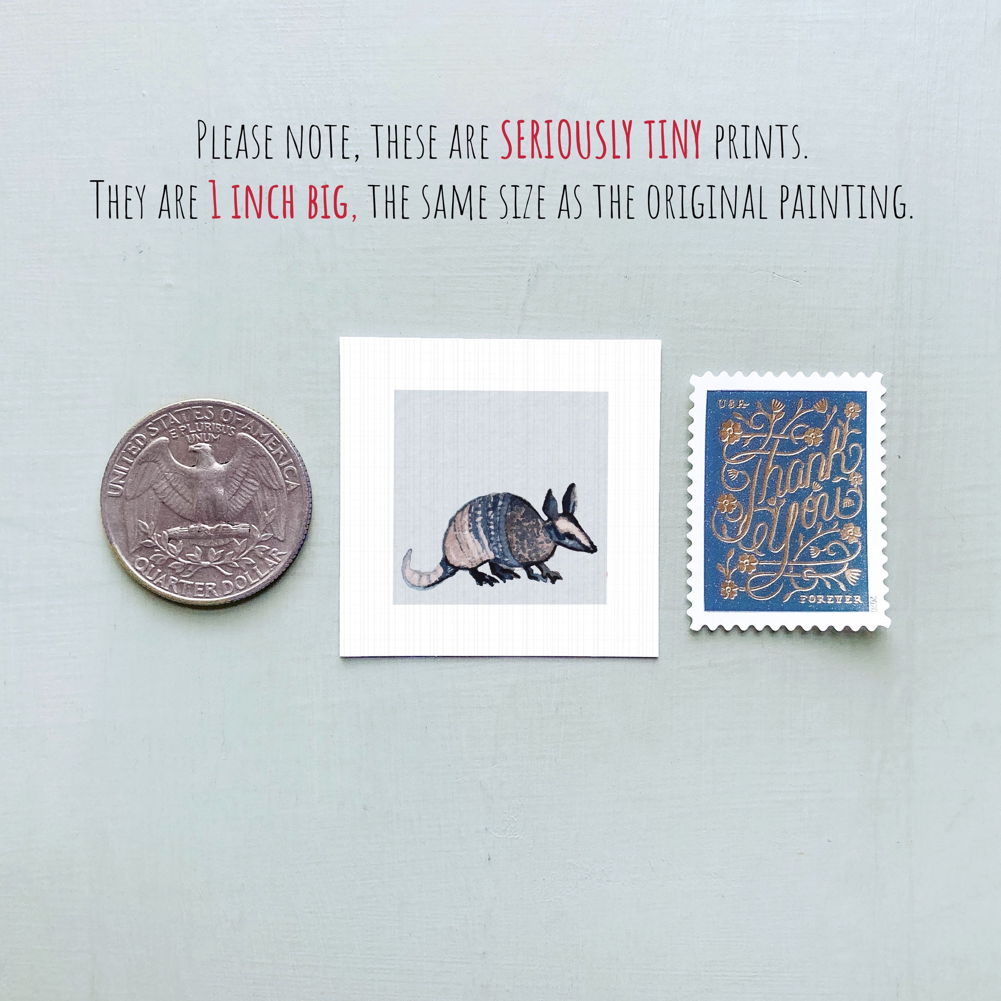 three small items: a quarter, a postage stamp, and a painting of an armadillo.
